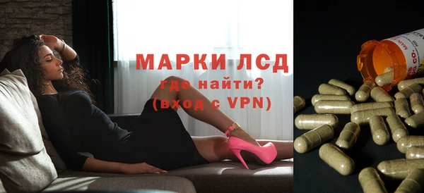 хмурый Осинники