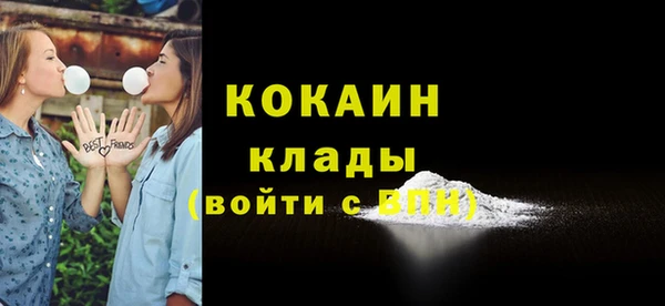 хмурый Осинники