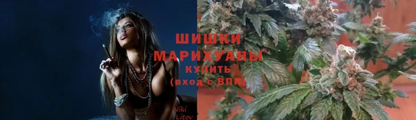 PSILOCYBIN Пестово