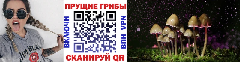 Галлюциногенные грибы прущие грибы  это Telegram  Полярный 