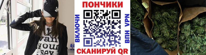 Каннабис план  нарко площадка наркотические препараты  Полярный  купить  сайты 